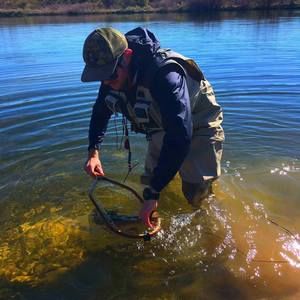 Meet your Posher, Nick